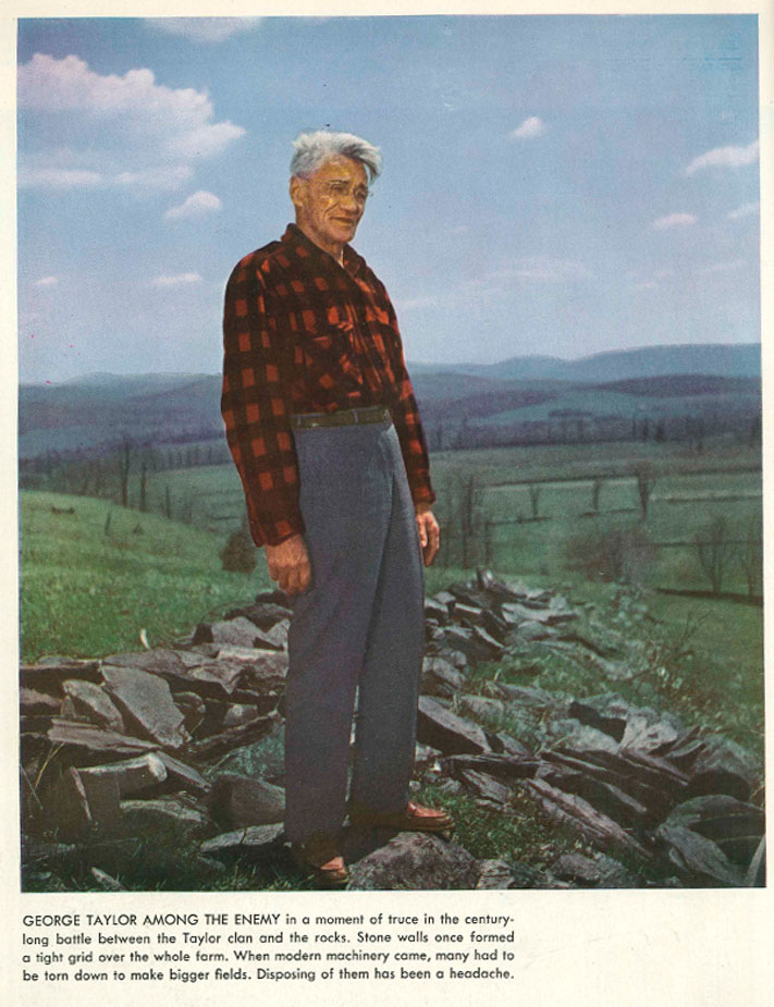 Century Farm Article; George D. Taylor