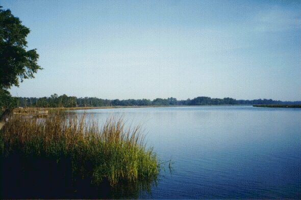 Boyd Creek from Boyd's Landing