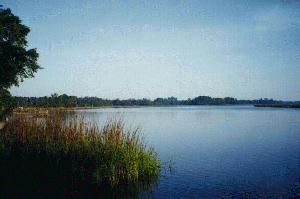 Boyd's Creek from Boyd's Landing