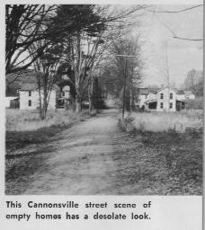 Cannonsville Street Scene