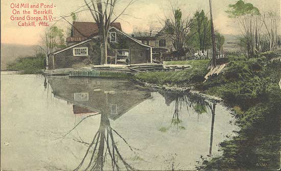 Old Mill and  Pond on the Bearkill, Grand Gorge