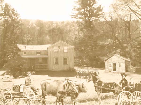 Lot 67 Homestead