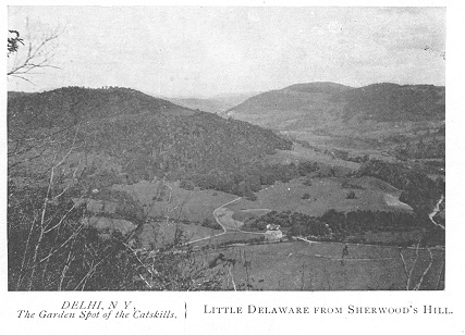 Little Delaware from Sherwood's Hill