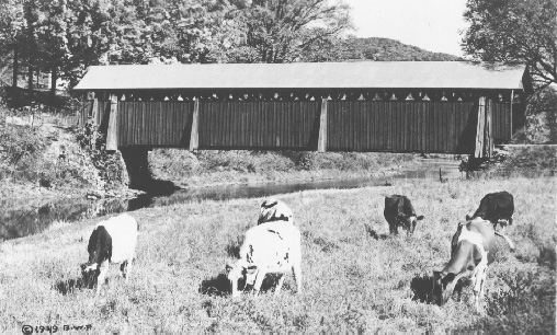 Fitch's Bridge, Delhi, NY