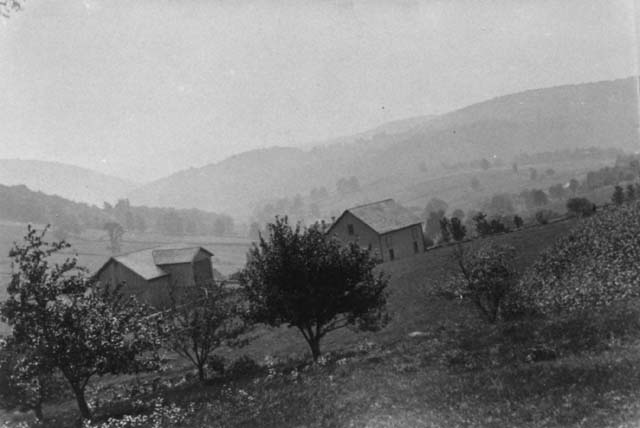 Scene