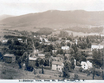 Birdseye View - Hobart