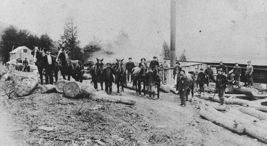 Saw Mill in Walton