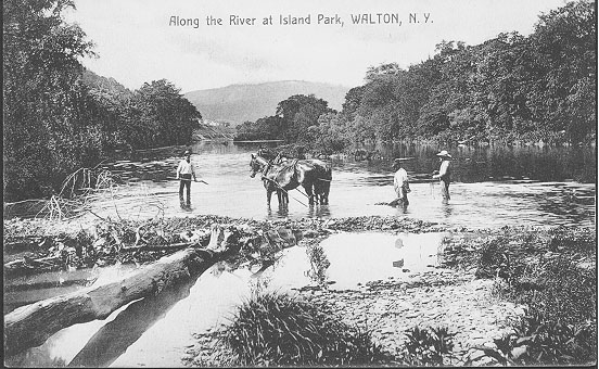 Along the River at Island Park