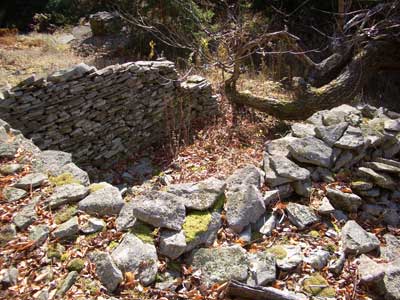old foundation
