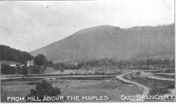 From Hill Above the Maples, East Branch, N.Y.