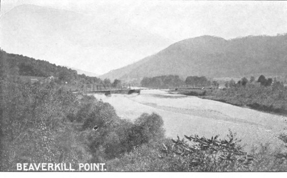 Beaverkill Point