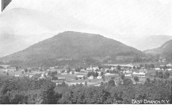 East Branch, N.Y.