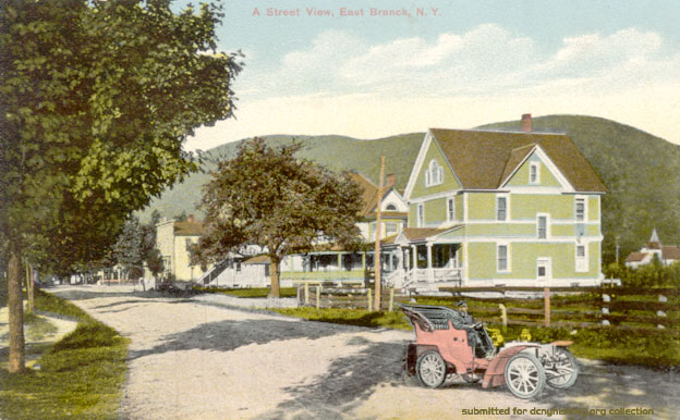 A Street View, East Branch, NY