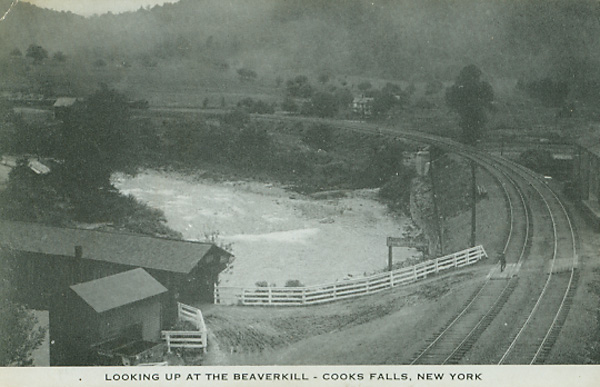 Covered Bridge - Cooks Falls, NY