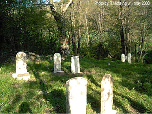 cem_houghtaling_after2.jpg - 32158 Bytes