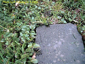 Houghtaling Cemetery Repair