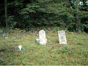 Houghtaling Hollow Cemetery
