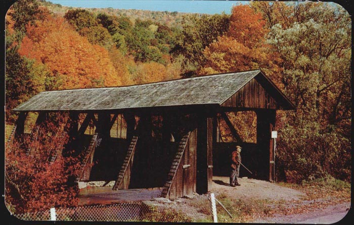 Covered Bridge at Bloomville