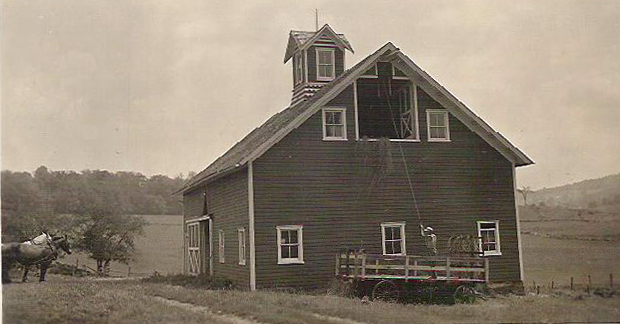 Kelso Farm photo