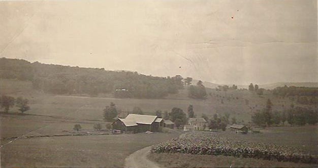 Kelso Farm Photo