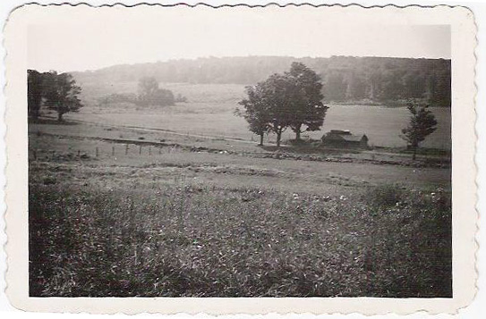 Kelso Farm Photo