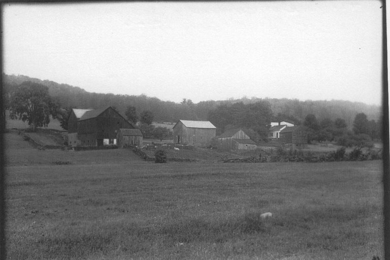 Rose Farm