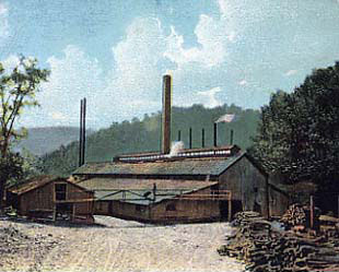 Cooks Falls Plant