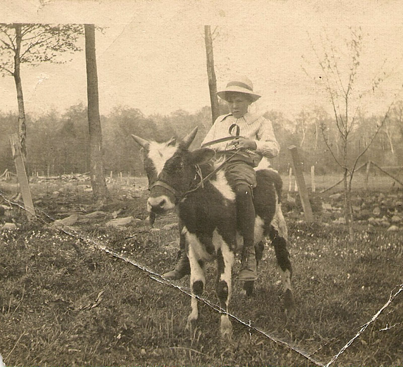 Harold Oliver riding cow