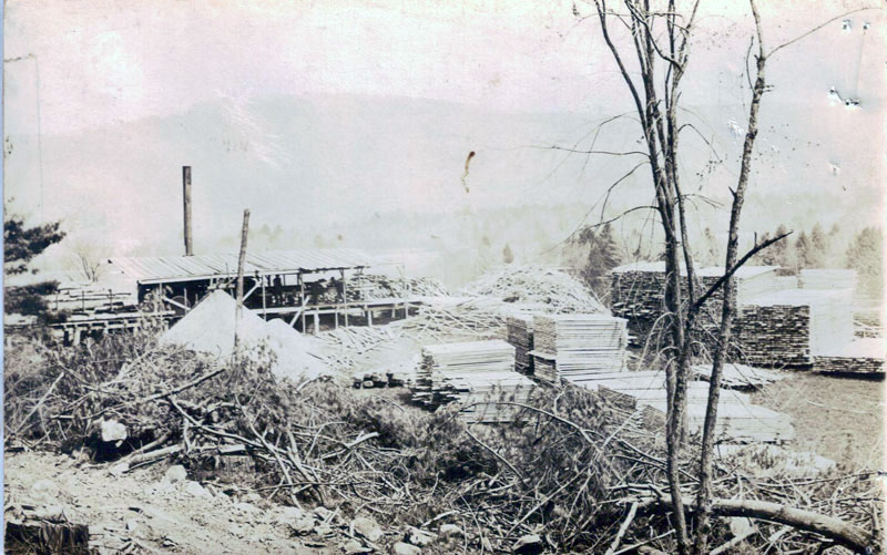 Lumber Camp