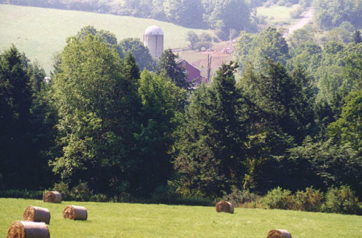 View from Cranhill Road