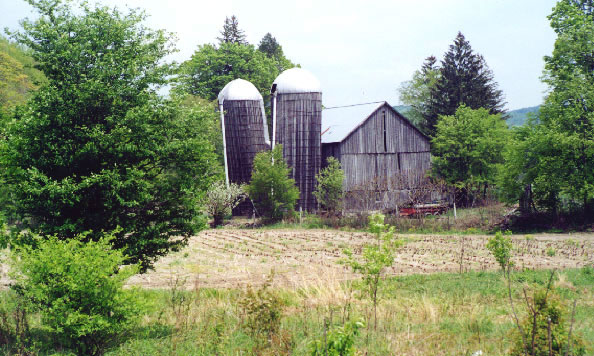 Old Grey Barn and Silos