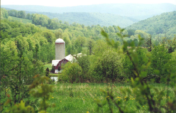 Farm