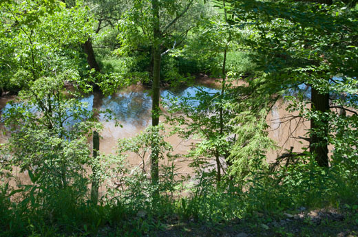 West Branch of Delaware