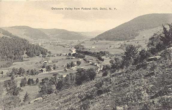 Delaware Valley from Federal Hill, Delhi, N.Y.