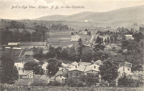 Birdseye View, Hobart, N.Y.