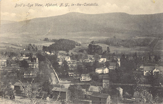 Birdseye View, Hobart, N.Y.