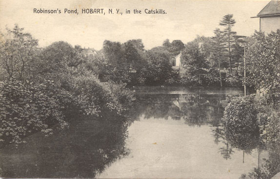 Robinson's Pond, Hobart, N.Y.
