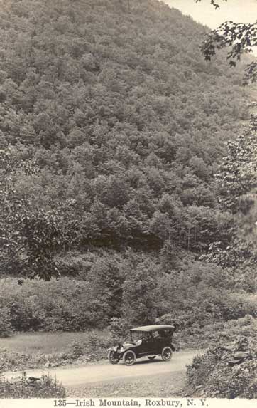 Irish Mountain, Roxbury, N. Y.