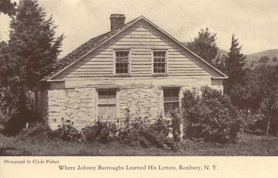 Where Johnny Burroughs Learned his Letters, Roxbury, N.Y.
